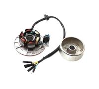 Motociclo magnetico bobina statore Kit Volano Magnete Statore Accensione 12V AC Con Luce Per YINXIANG YX 140cc 150cc 160cc KAYO BSE Per SDG SSR Pitsterpro Dirt Bike