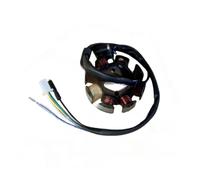 Motociclo magnetico bobina statore Smash C70 JH70 Applicabile A WAVE110s C100 Go Kart Moto Magnete Bobina Di Accensione Statore Generazione Potenza 6 8 12 Poli