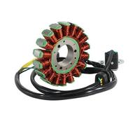 Motociclo Statore Bobina Bobina Statore Generatore Moto Comp Per Access Shade 420 ATV/Shade 4X4 T3 OEM:ACC-173MM.07.02-YY Accessori