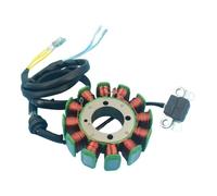 Motociclo Statore Bobina Generatore Magneto Statore Bobina PER Rt 200 Ex RT200 EX200 E05010007 88 MILLIMETRI 12 Poli