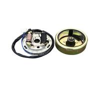 Motociclo Statore Bobina Moto A Due Tempi Per AX100 Gruppo Rotore Statore Magnete Generatore Bobina Di Accensione