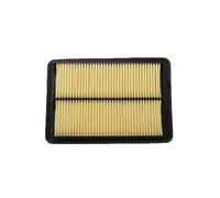 MOTOHIRO Filtro aria auto + filtro abitacolo for Nissan X-Trail Rogue T32 2013-2019 1.6L 2.0L 2.5L Modello filtro OEM 165464BA1A 272774BA0A Filtri dell'aria abitacolo (Size : 1 Pcs Air Filter)