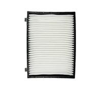 MOTOHIRO Kit filtro aria for auto OEM n. 96628890 96440878 for Chevrolet Captiva 2006-2015 for Opel Andra Filtro aria + set di filtri antipolline Filtri dell'aria abitacolo (Size : 1 Cabin Filter)
