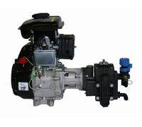 MOTOPOMPA PER IRRORAZIONE AXO GARDEN API TRIAL RT4, BENZINA 2,5HP