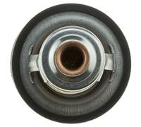 Termostato, refrigerante MOTORAD 443-89K