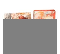 Motorcycle Phone Mount - Bike Phone Holder, Waterproof Case with Shockproof Protection, Handlebar Clamp with 360 Rotation, Cycling Accessories Bracket, Navigation Support for Scooter ATV Dirt Riding