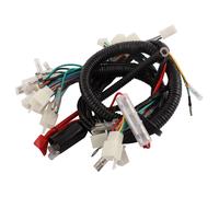 Motorcycle Ultima Complete System Electrical Main Wiring Harness for CG125