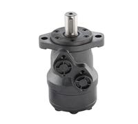 Motore a olio idraulico, montaggio a 2 fori BMR-315 BMR315(2 hole mounting)