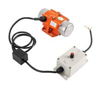 Motore a vibrazione da 100 W con regolatore di velocità - Motore a vibrazione asincrono da 220 V, 3000 giri/min, IP65, vibratore regolabile per miniere, metallurgia, edilizia e dispositivi meccanici