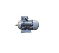Motore AC 2,2 kW trifase 50Hz 5,2A 2895 rpm 1879870