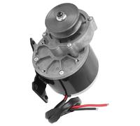 Motore Ad Alte Prestazioni in Rame da 250 W per Motoriduttore con Puleggia a Cinghia, Basso Rumore e Lunga Durata, per Appassionati di Fai da Te, Metallo