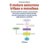 Motore asincrono trifase e monofase. Schemi elettrici, studio e azionamento del motore elettrico trifase tramite circuiti a teleruttori e con gli inverter ABB ACS310 e ACS150