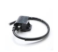 Motore Bobina Accensione Dispositivi Accensione Bobina Accensione Per Italjet Per Formula 50 AC LC Per Velocifero 50cc AC