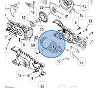 MOTORE BRUSHLESS+SPIN PIGNONE PER T-REX 160-240+250-300 CAMPAGNOLA