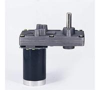Motore corrente continua 10/30/70/120 giri/min Motoriduttore vite senza fine, motore ZGB102FEE DC 12V 24V, albero di uscita coppia grande, parti driver fai da te: 24V 120 giri/min) FUZEGRDLI (Size :