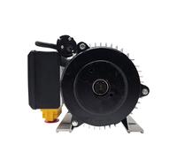 Motore Elettrico 230V Per Spaccalegna Spaccalegna Per Legna Da Ardere