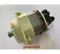 MOTORE ELETTRICO BRUMAR IKRA RASAERBA ELM 1434 (1400W) R 3000