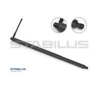 Motore Elettrico Cofano Posteriore Stabilus 065041 Federbein per VW