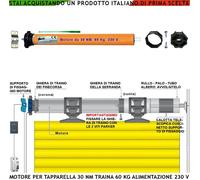 Motore Elettrico per Tapparella Serranda Avvolgibile Motore 220 V 60 Kg Staffa F