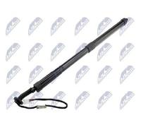 NTY Motore Elettrico Portellone Posteriore Destra Adatto A per Lexus NX _Z1_