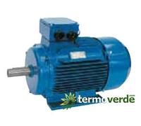 Motore elettrico Speroni 400V 4P B3 270,0HP 315LB GHI