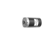 Motore Elettrico Starter Generatore 24 V 0,5 kW 3.200 RPM MAHLE Per BUCHER
