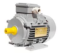 Motore elettrico Trifase 0.25 kW 0.34 HP 1400 giri B3 MEC 71 230 400v