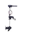 Motore fuoribordo elettrico senza spazzole compatibile con imbarcazioni 12V 24V 48V 60V Elica elettrica Stern Drive uso marino(24v 48v p350)