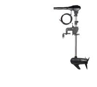 Motore fuoribordo marino elettrico brushless ad alta potenza da 150 libbre 12V24V48V compatibile con barche, kayak e gommoni elica(Brushless 12V24VP250)