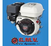 Motore Honda GP200 QX3 ad albero cilindrico orizzontale 19 mm (Honda)