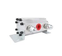 Motore idraulico di bilanciamento del sollevamento sincrono cilindro della valvola deviatrice idraulica FMA-2R-2.1/4.2/8.8 Autocarro con cassone ribaltabile un trascinamento due(FMA-2R-8.8 M22)