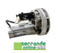 MOTORE JOLLY RIB 24 PER SERRANDE