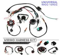 Motore Kit Mini Atv Completo Bardatura Statore Palo Set Accessori 6 Bobina