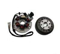 Motore Orizzontale 140cc Kit Statore Volano per atv Motore Orizzontale | Design orizzontale, installazione per facile, compatibilità motore 140cc, avviamento , kit completo