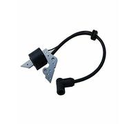 Motore Parts Club Robin Subaru EY20 bobina di accensione motore 5 HP, Oregon ...