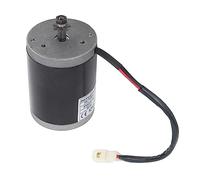 Motore per scooter elettrico 12V 100W con motore elettrico per scooter, parte di ricambio fai-da-te a basso rumore iency, l metallo