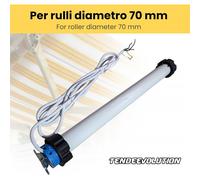 Motore per Tapparelle e Tende da Sole 50 Nm - 100 Kg, Smart & Silenzioso - Tipologia: Solo motore