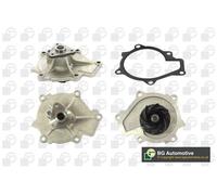 Motore Raffreddamento Acqua Pompa Per Sorrento II Sportage III 2.0 Crdi D4HA