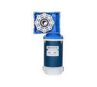 Motore regolatore di velocità 200W ingranaggio a vite senza fine 24V coppia elevata avanti e indietro motore RV30 12V DC riduttore(XD5D200 -RV40 21 to 24V)