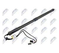 NTY Motore sollevamento portellone bagagliaio AE-CT-062 Dx elettrico