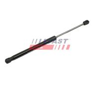 Motore sollevamento portellone bagagliaio FT00187 FAST FAST