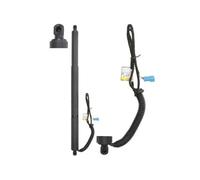 Motore elettrico, portellone posteriore MAGNUM TECHNOLOGY per X3 (F25) 2 2012-