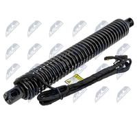 Molle a Gas Portellone Adatto per BMW 5 F10/F18 09 Links-Dla Pojazdów Automaty
