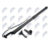 NTY AE-TY-035 Motore elettrico, Cofano posteriore