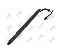 Motore sollevamento portellone bagagliaio Sx 101-02-009 ABAKUS per BMW X6