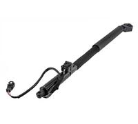 Motore sollevamento portellone bagagliaio Sx AE-AU-111 NTY
