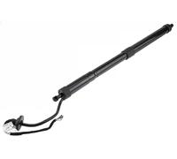 Motore sollevamento portellone bagagliaio Sx AE-MS-013 NTY