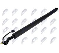 Motore sollevamento portellone bagagliaio Sx AE-SK-043 NTY