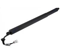 Motore sollevamento portellone bagagliaio Sx elettrico AE-BM-134 NTY per BMW X5