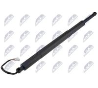 Motore sollevamento portellone bagagliaio Sx elettrico AE-BM-142 NTY
